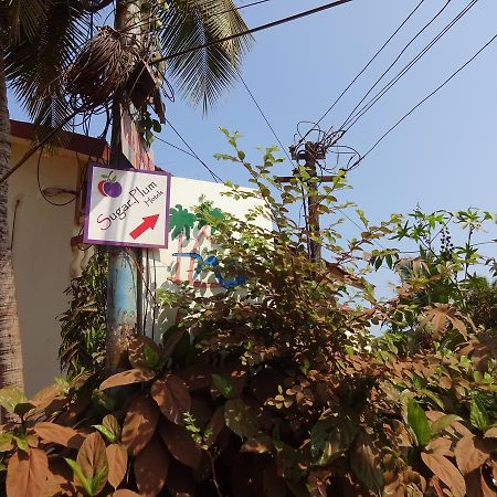 مبيت وإفطار باغا Sugar Plum Macedo Palms المظهر الخارجي الصورة