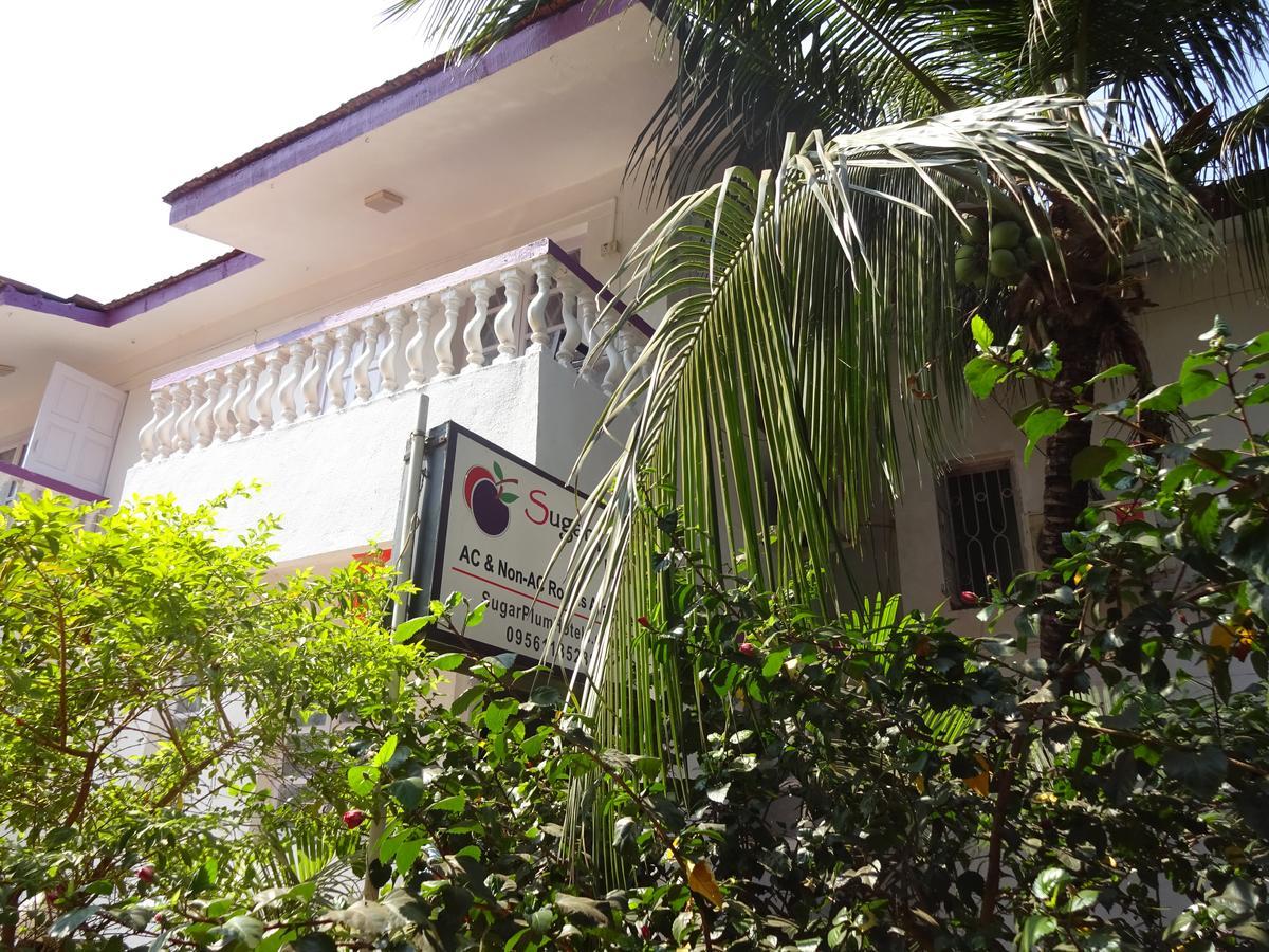 مبيت وإفطار باغا Sugar Plum Macedo Palms المظهر الخارجي الصورة