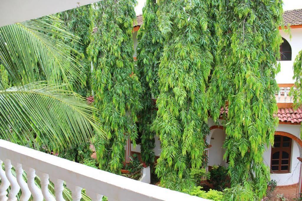 مبيت وإفطار باغا Sugar Plum Macedo Palms المظهر الخارجي الصورة